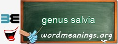WordMeaning blackboard for genus salvia